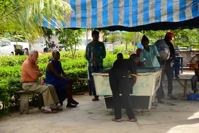 DSC_9218 (Large).JPG